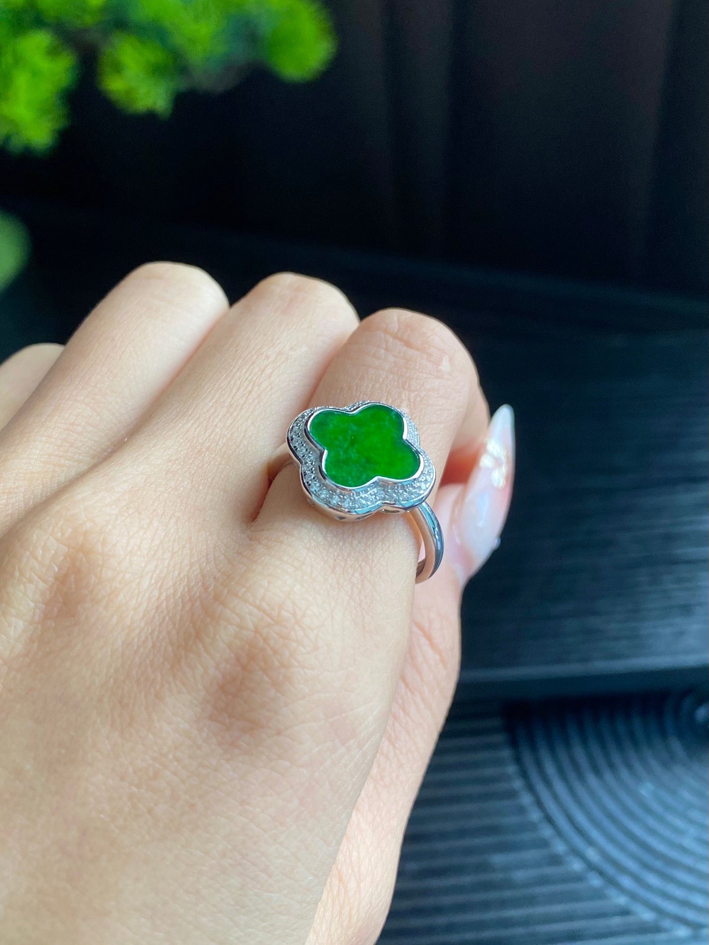 Full Green Clover 3-Piece Set