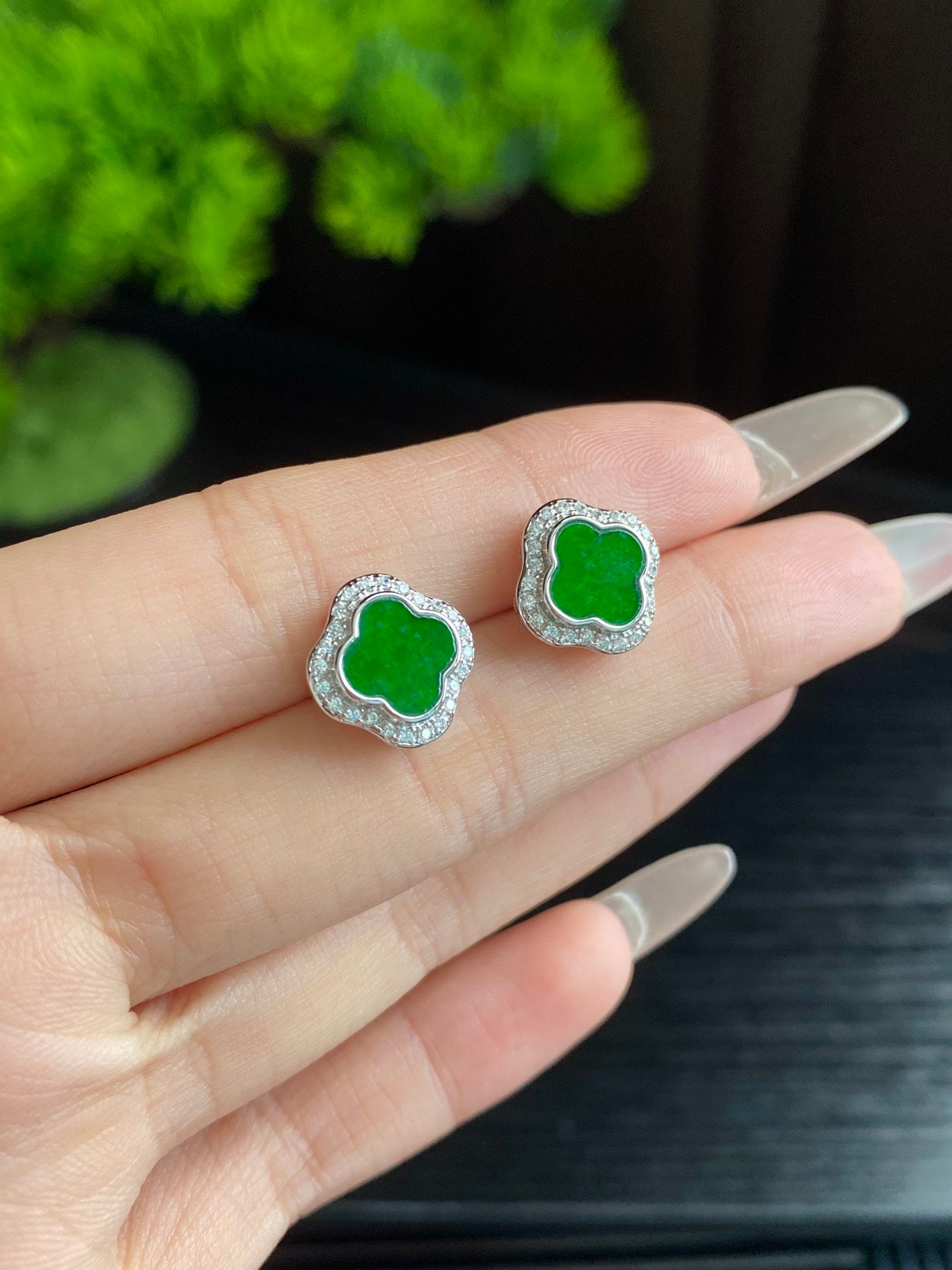Full Green Clover 3-Piece Set